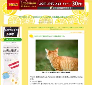 切羽詰まった!40代のわたしとあなたの転職&起業応援ブログ