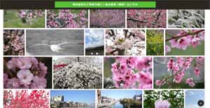 K-zストックフォト